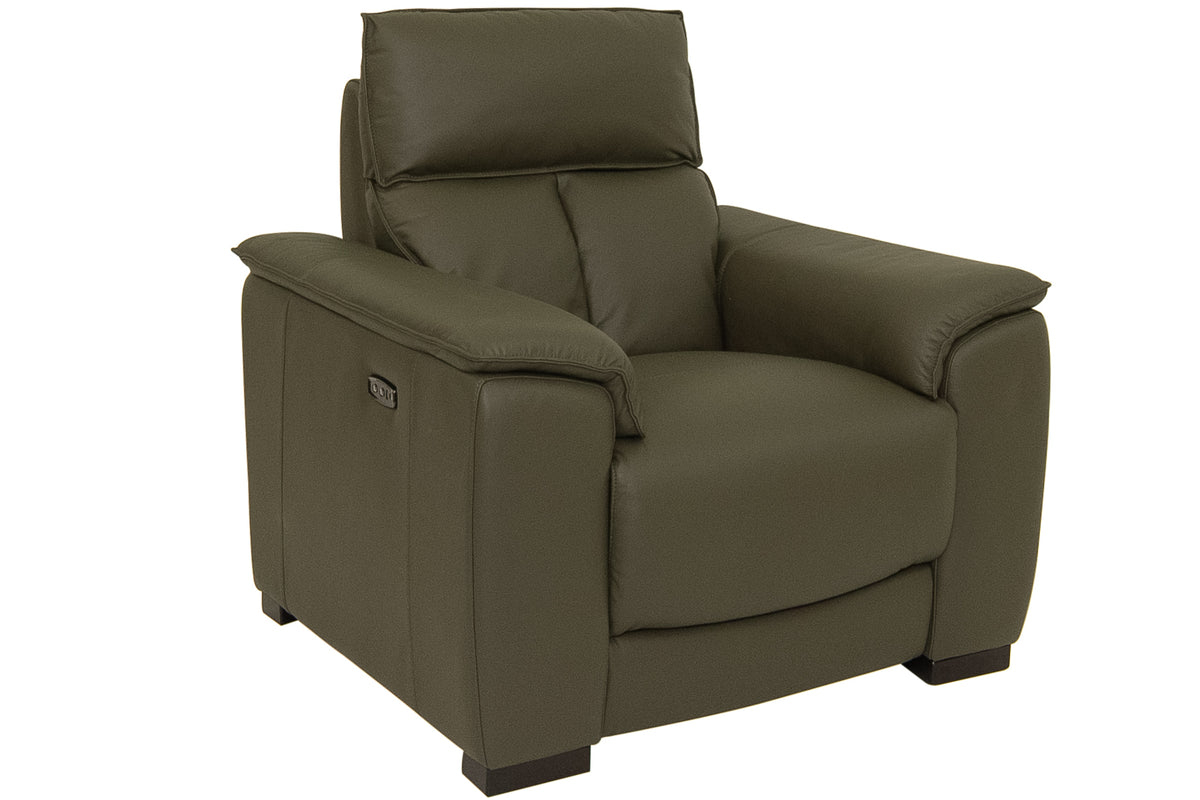 Campbell green Leather Power Recliner